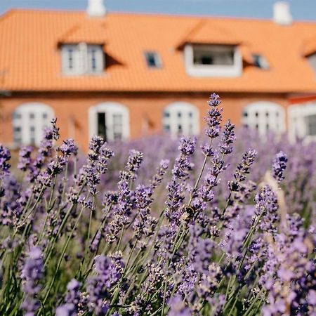 Jungshoved Praestegard B&B Praesto Bagian luar foto