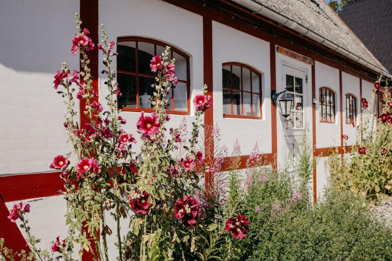 Jungshoved Praestegard B&B Praesto Bagian luar foto